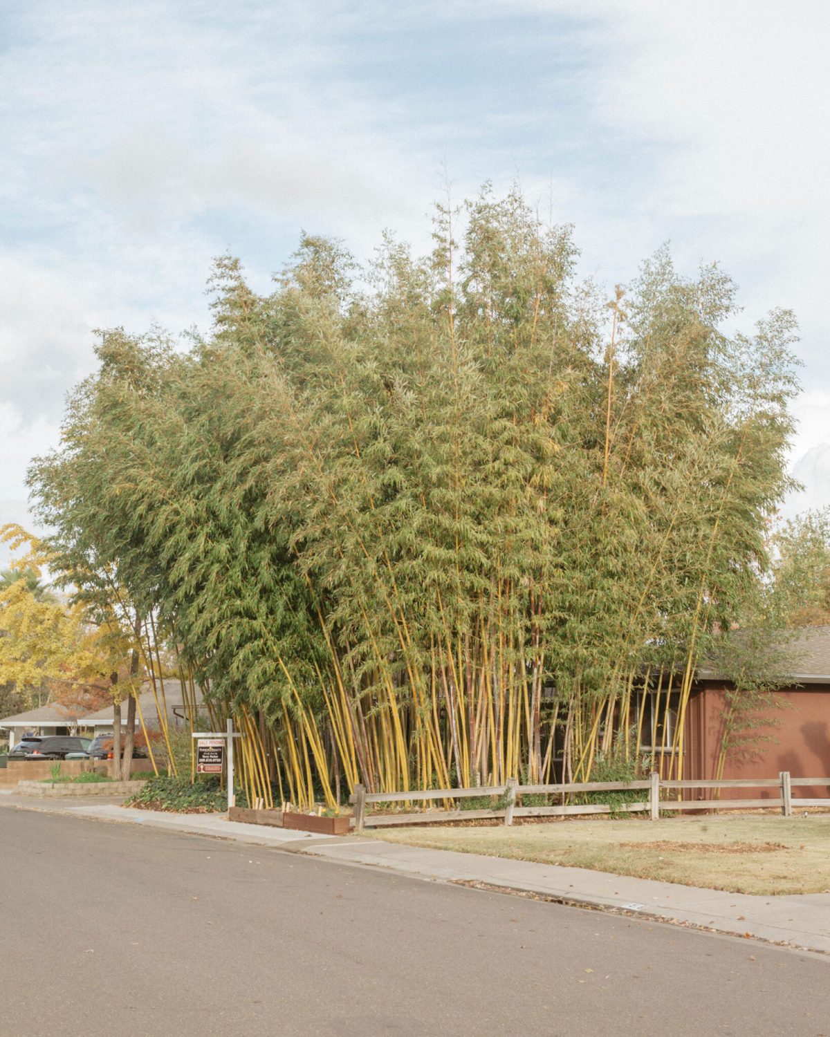 Ordinary Sacramento by Enoch Ku