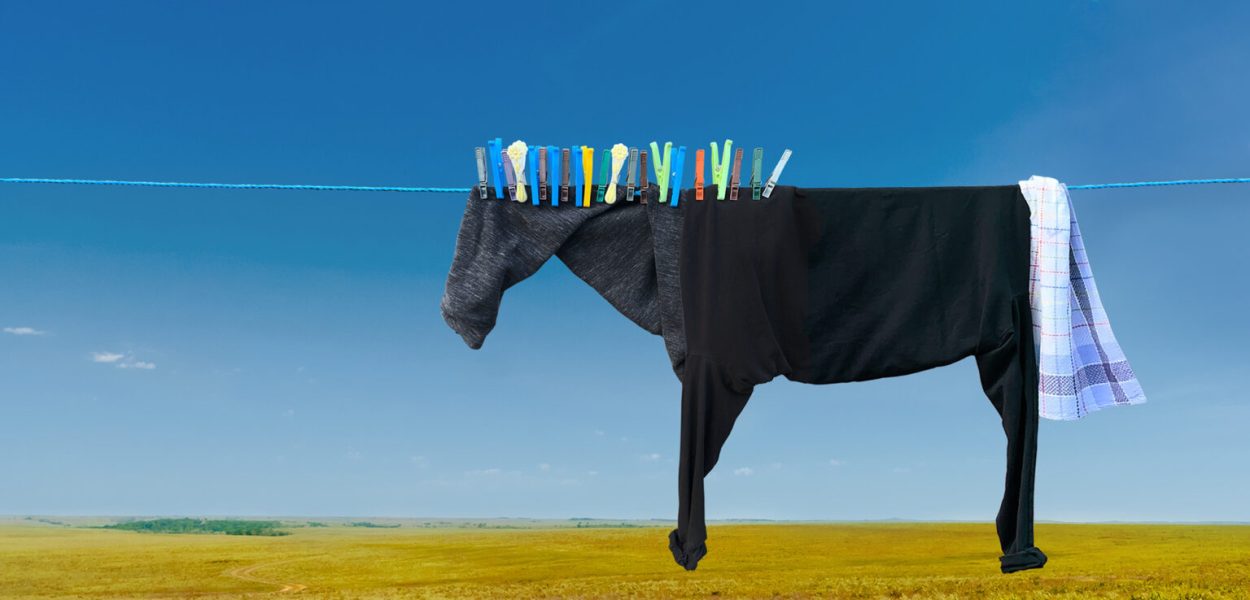 Pegasus by Helga Stentzel