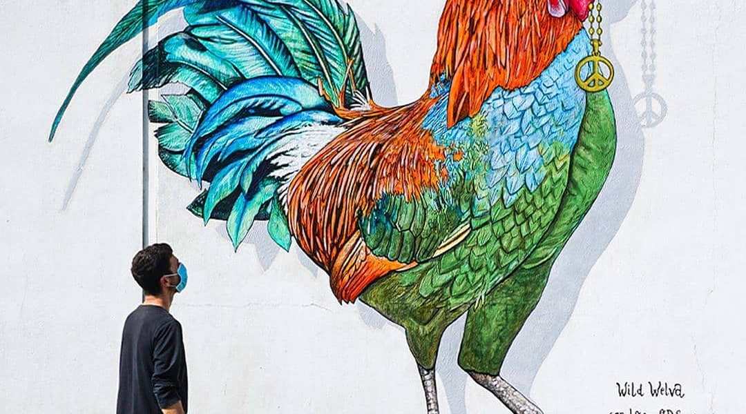 Wild Welva @ Bonares, Spain