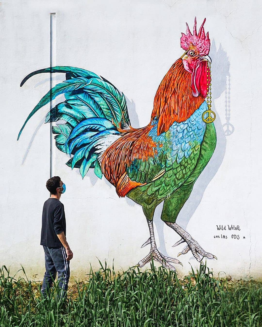 Wild Welva @ Bonares, Spain