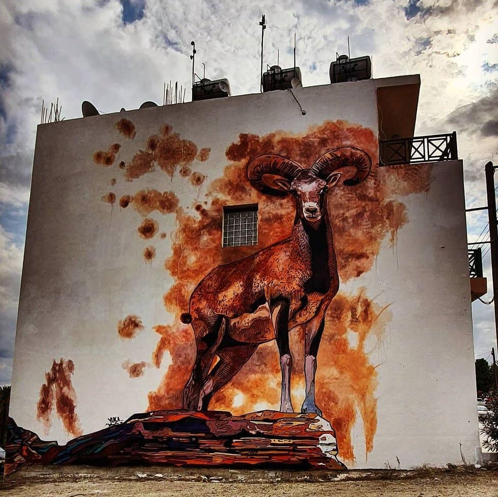 Zed40 @ Lefka, Cyprus