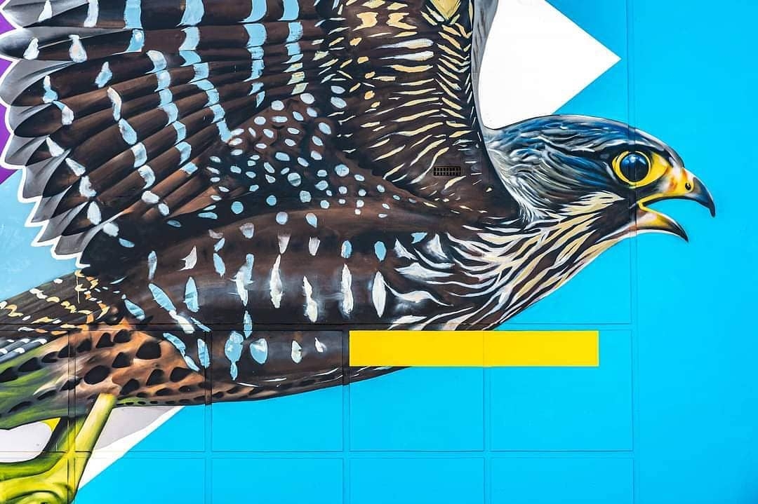 Charles & Janine Williams @ Wanganui, New Zealand