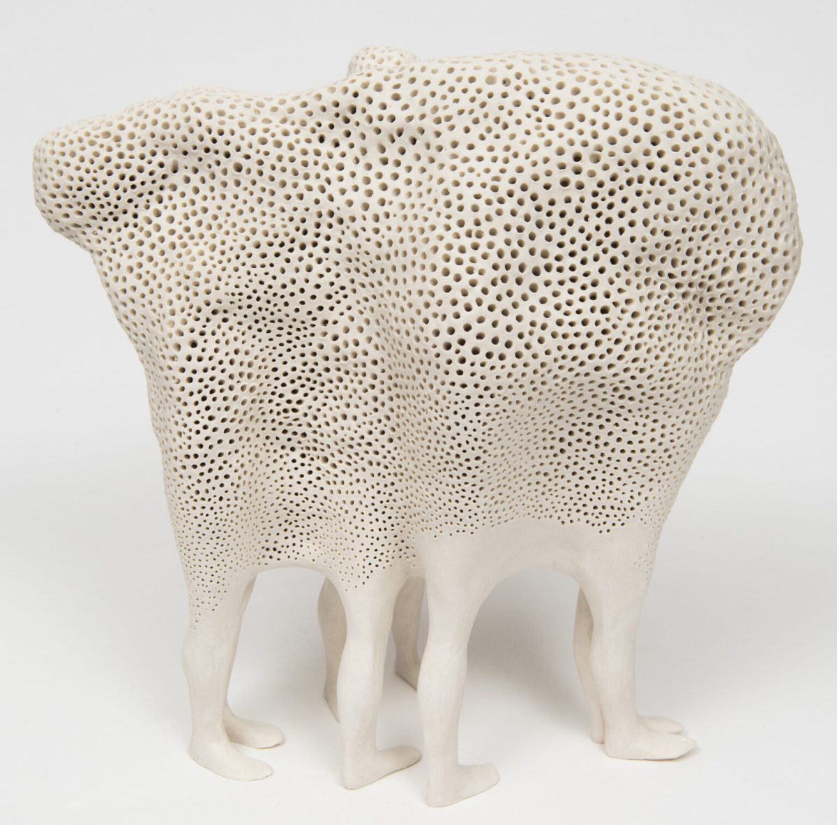 Claudia Fontes