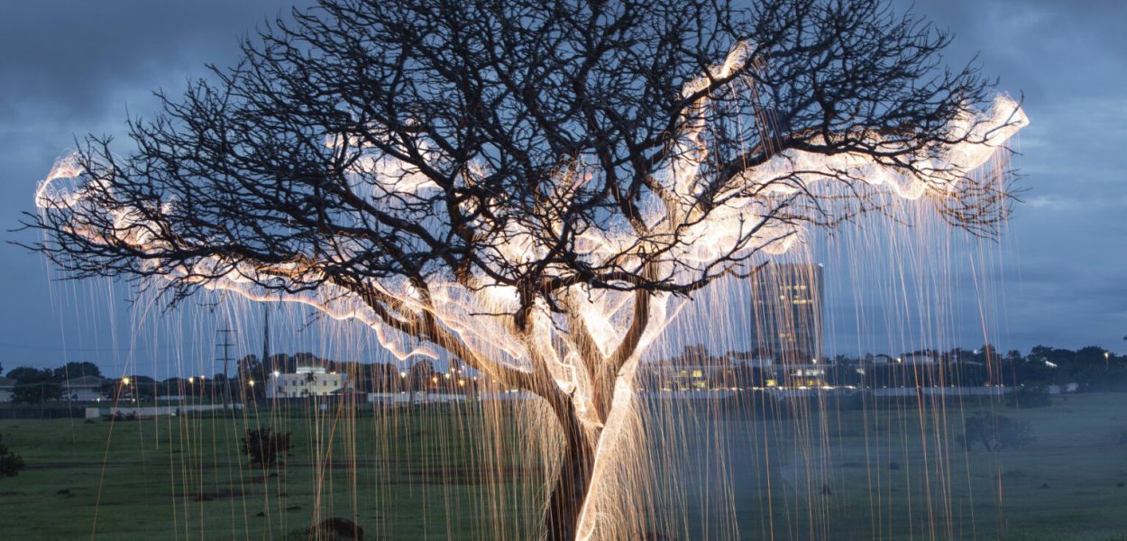 Impermanent Sculptures by Vitor Schietti