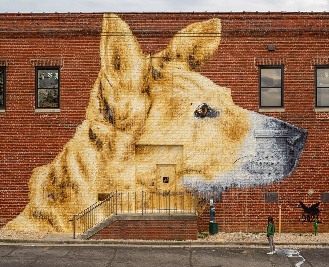 Nils Westergard @ Richmond, USA