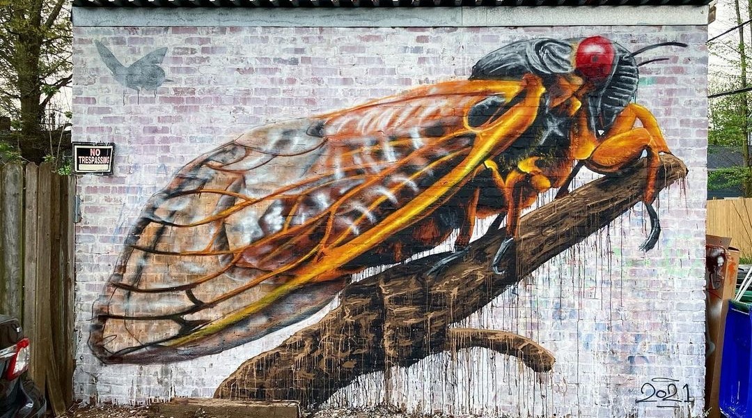 Nils Westergard @ Richmond, USA