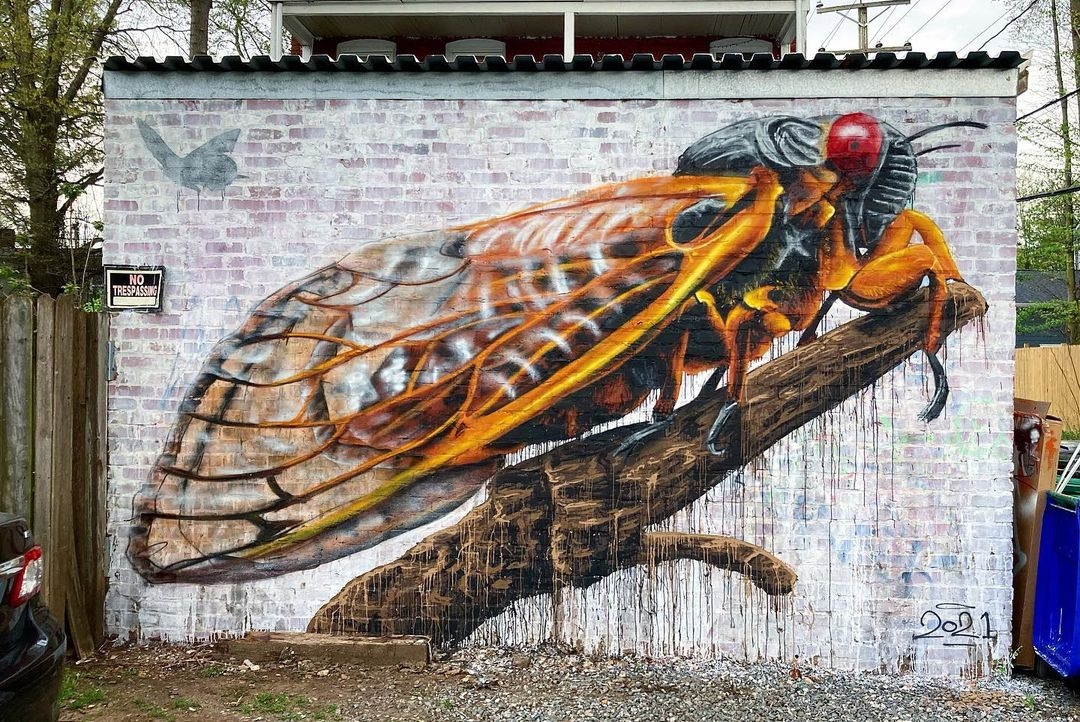 Nils Westergard @ Richmond, USA