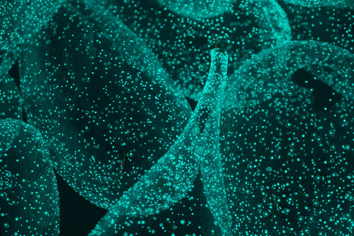 Rui Sasaki. “Liquid Sunshine” (2016), glass, phosphorescent crystal mixture, solarium lights, motion detector, timer, 2,300 x 5,800 x 3,100 millimeters (as installation). Photo by Pal Hoff