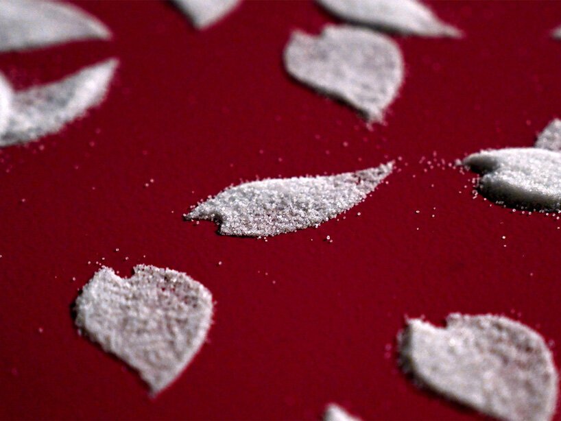 Sakura Shibefuru by Motoi Yamamoto