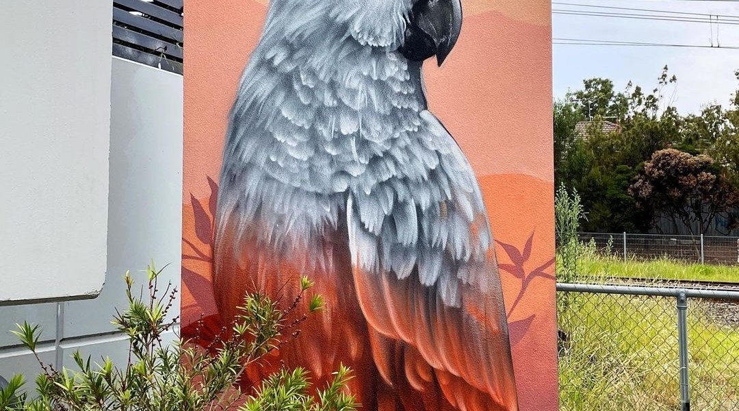 Sugar @ Melbourne, Australia