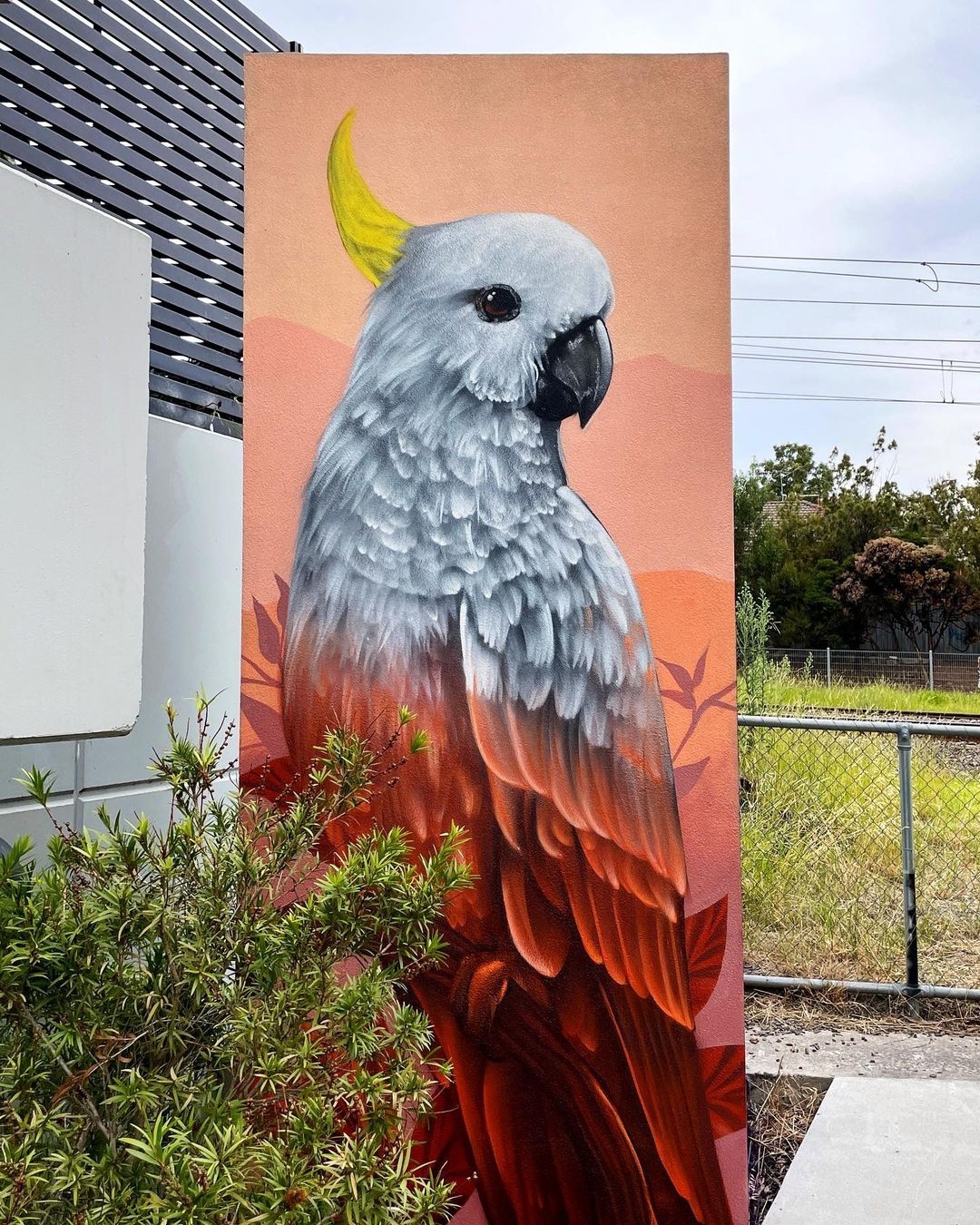 Sugar @ Melbourne, Australia