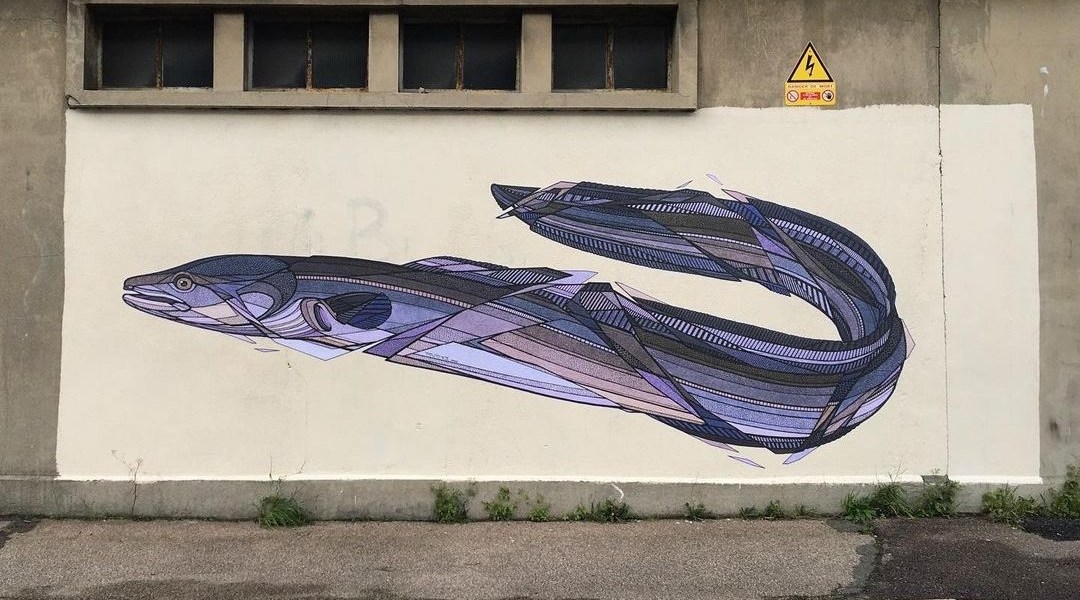 Teuthis @ Le Havre, France