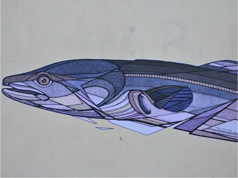 Teuthis @ Le Havre, France Teuthis @ Le Havre, France