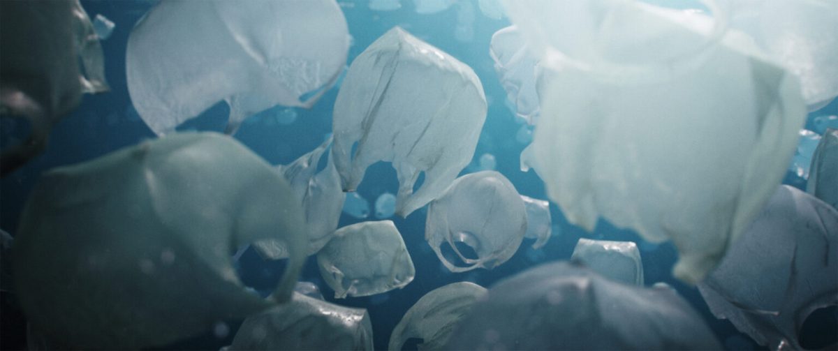 The Beauty by Pascal Schelbli