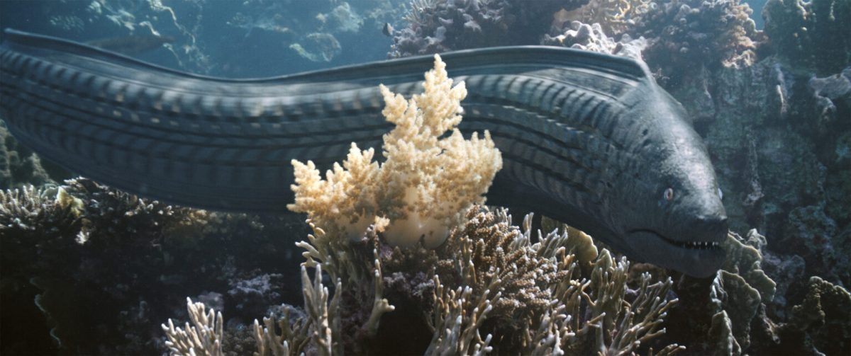 The Beauty by Pascal Schelbli