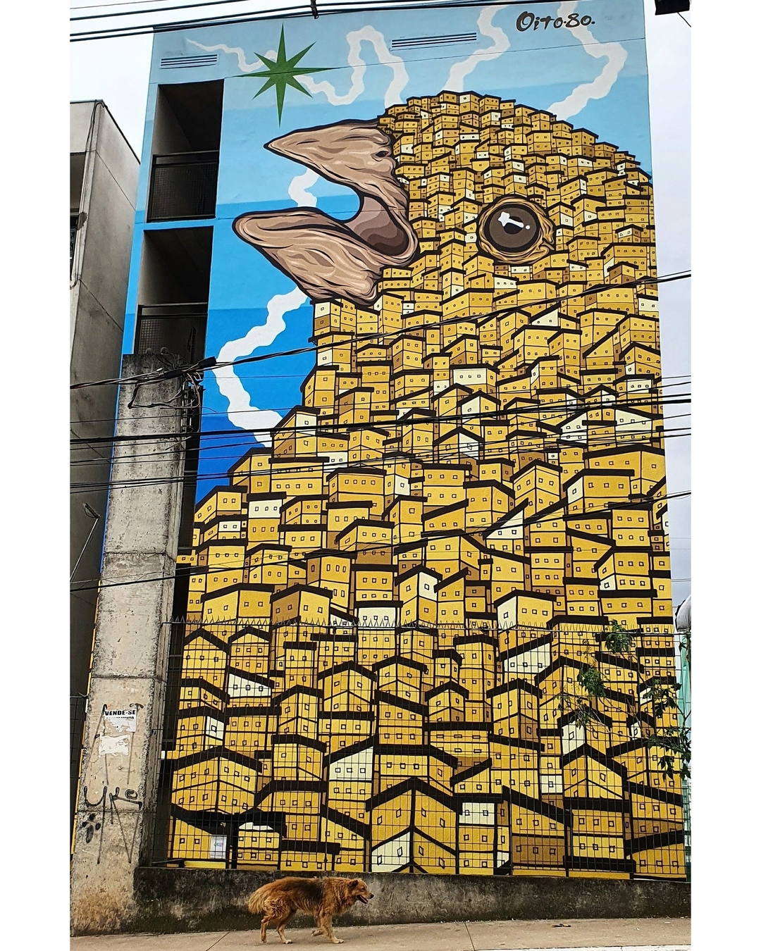 Tiago Ishiyama @ Sao Paulo, Brazil