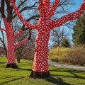 Ascension of Polka Dots on the Trees by Yayoi Kusama @ Botanical Garden, New York