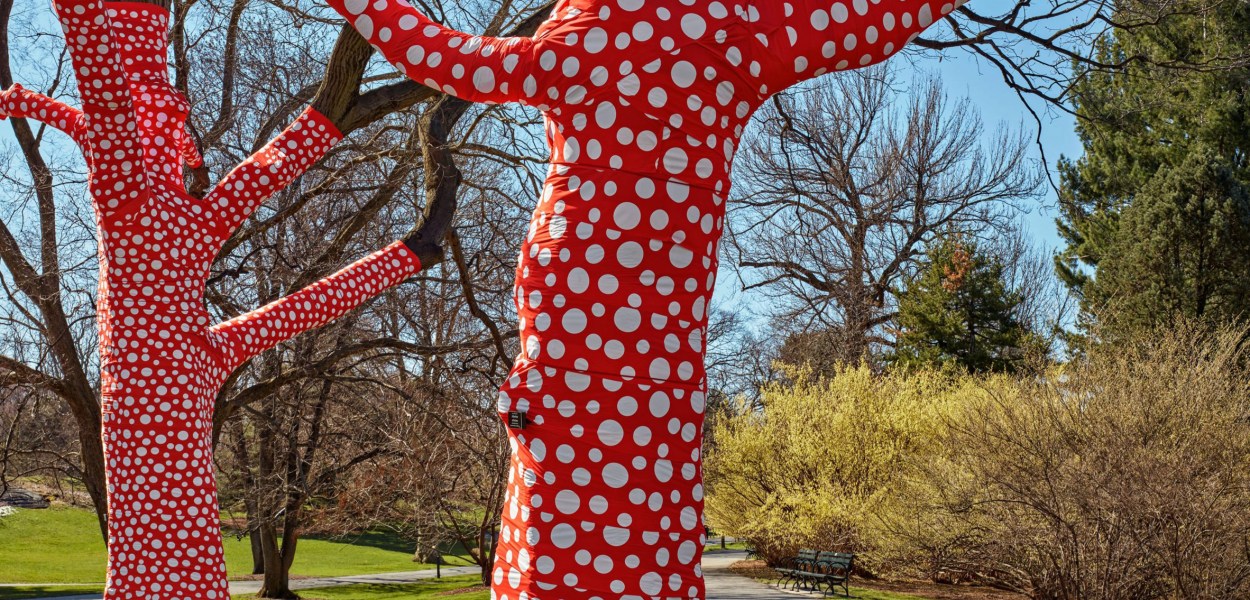 Ascension of Polka Dots on the Trees by Yayoi Kusama @ Botanical Garden, New York