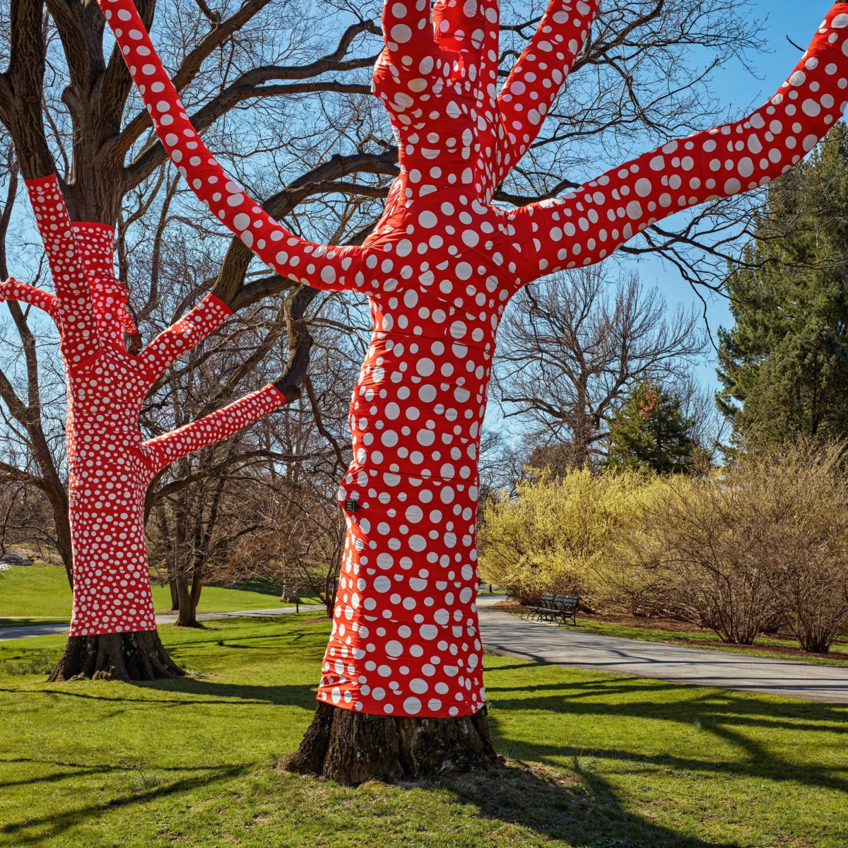 Ascension of Polka Dots on the Trees by Yayoi Kusama @ Botanical Garden, New York