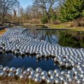 Narcissus Garden by Yayoi Kusama @ Botanical Garden, New York