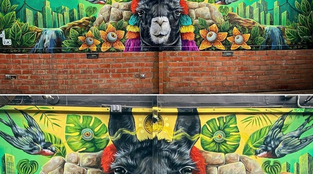 Zelva 1 @ Lima, Peru