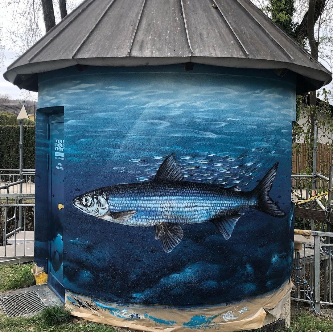 Bert @ Ammersee, Germany