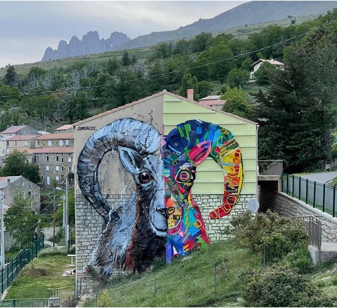 Bordalo II @ Lozzi, Corsica, France