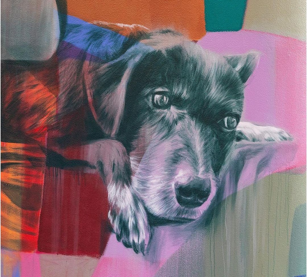 Claire Foxton @ Brisbane, Australia