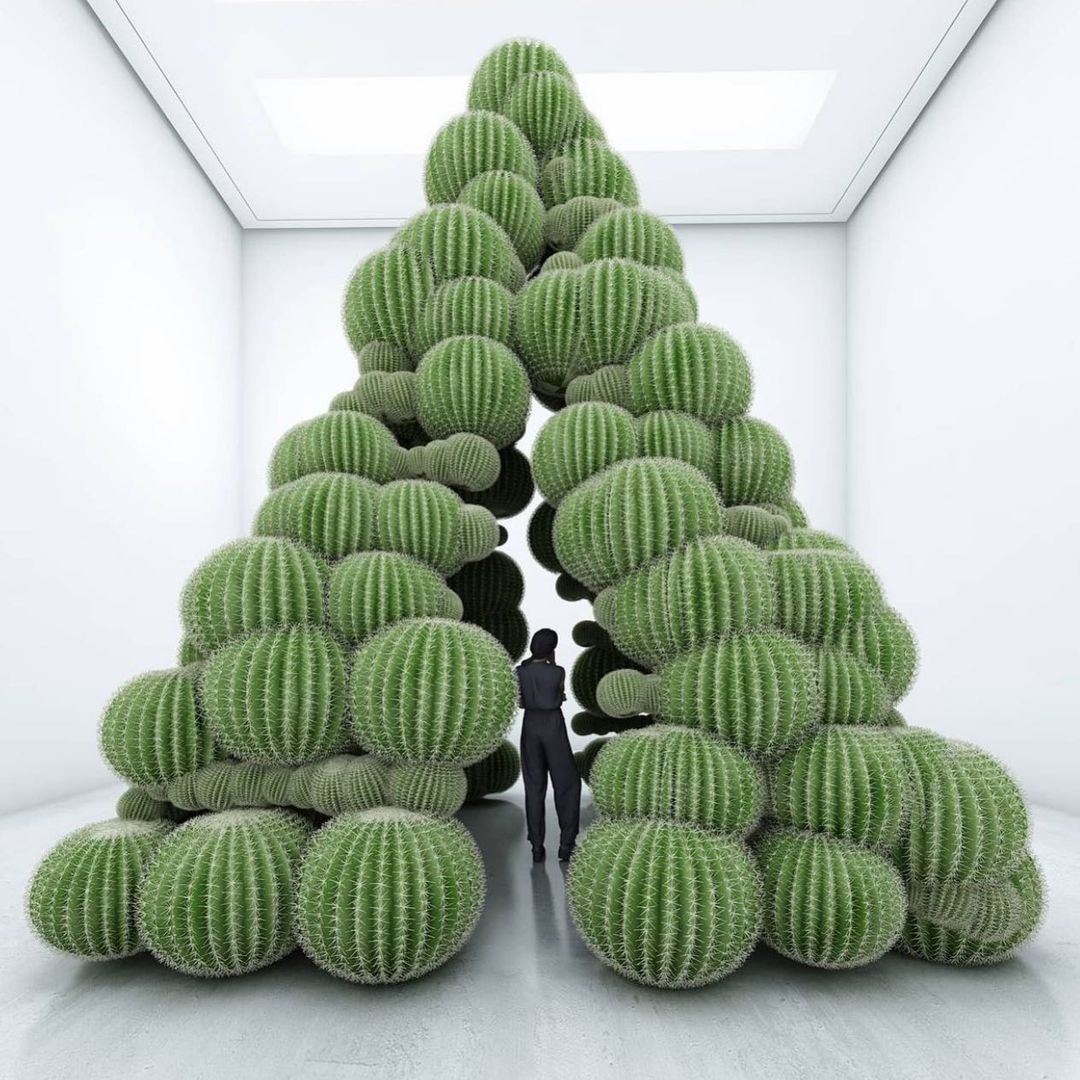 “Pyramid Cactus” by Cyril Lancelin
