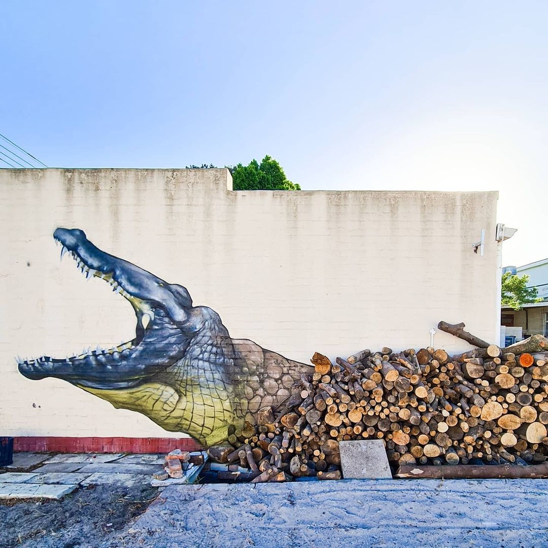 Falko one @ Cape Town, South Africa Falko one @ Cape Town, South Africa