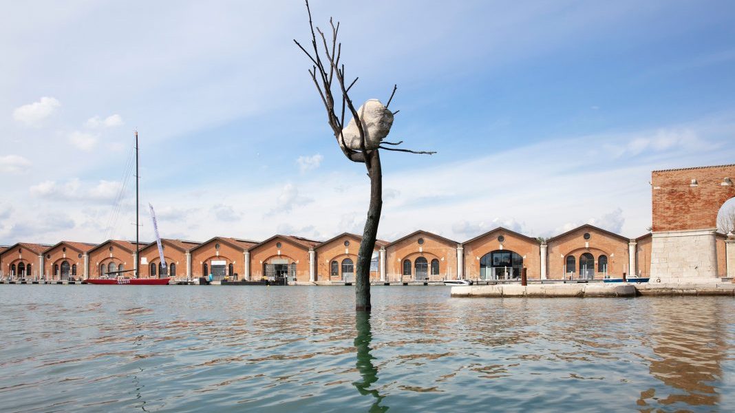 Giuseppe Penone's The Listener installation on view at the 17th International Architecture Exhibition - La Biennale di Venezia 2021. © Photo: Sebastiano Pellion di Persano. Courtesy of Vuslat Foundation and Giuseppe Penone