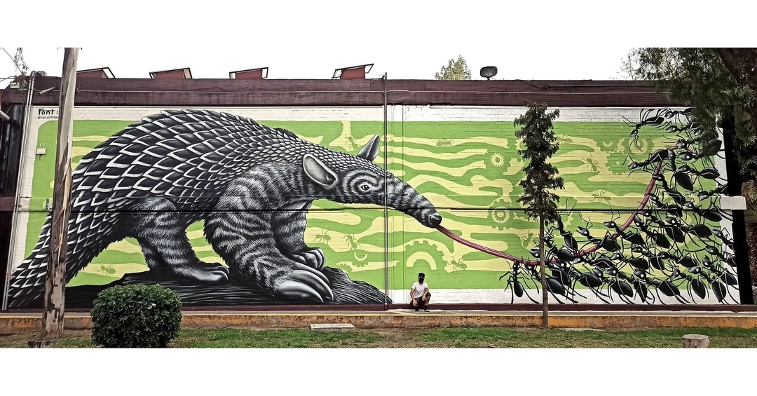 Guillem Font @ Mexico City, Mexico