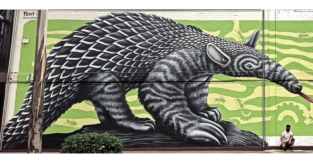 Guillem Font @ Mexico City, Mexico