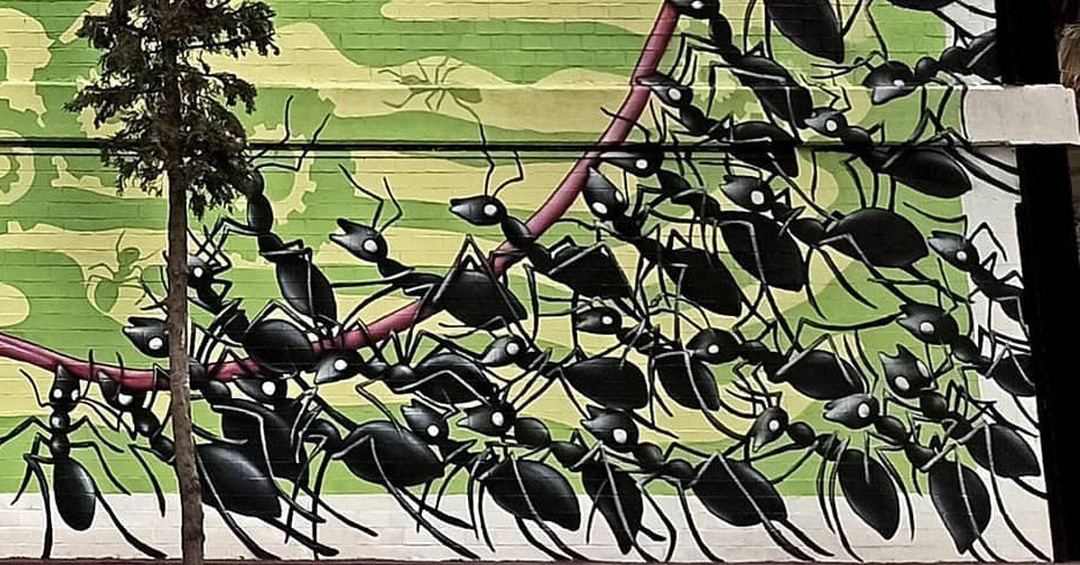 Guillem Font @ Mexico City, Mexico