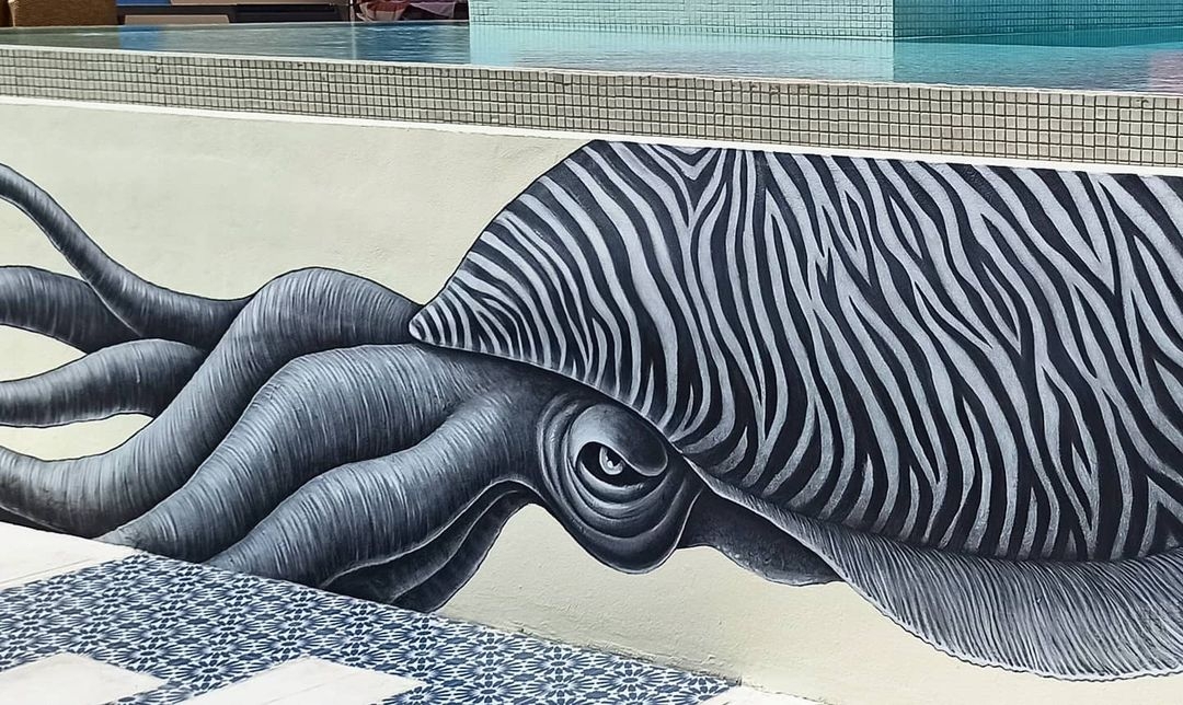 Guillem Font @ Playa del Carmen, Mexico