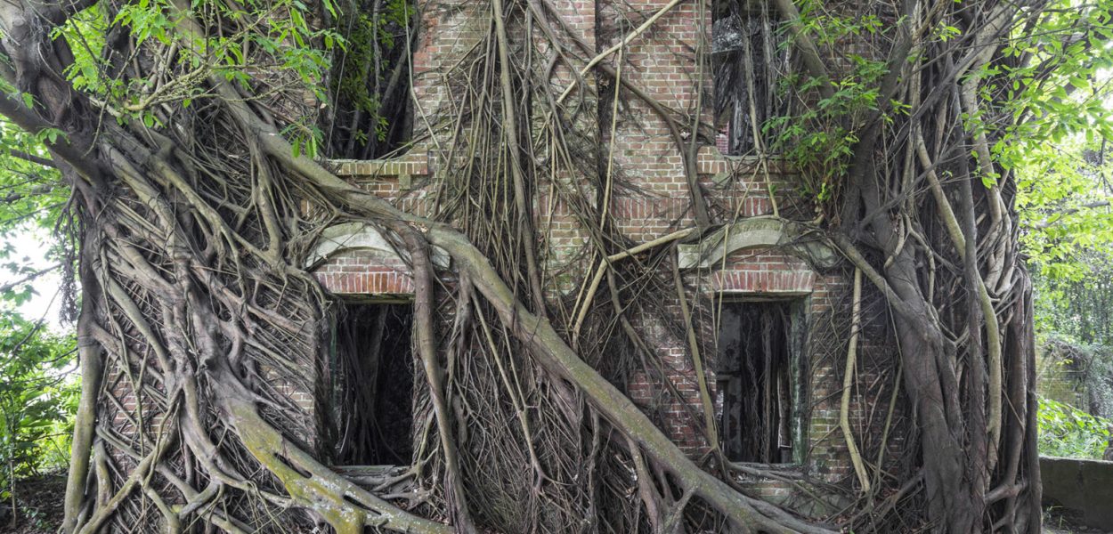 Manoir, Taiwan Manor, Taiwan. Fotografia di Jonathan Jimenez aka Jonk