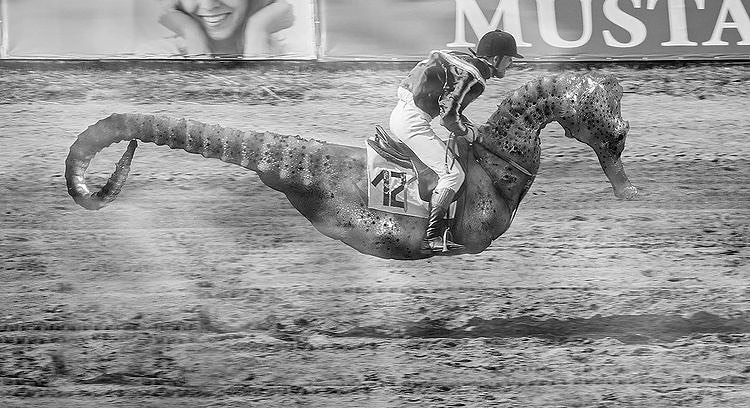 Juan Gomez Enamorado