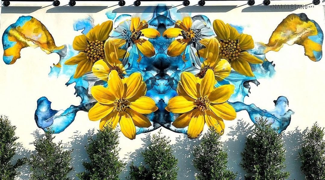 Nick Napoletano @ San Diego, USA