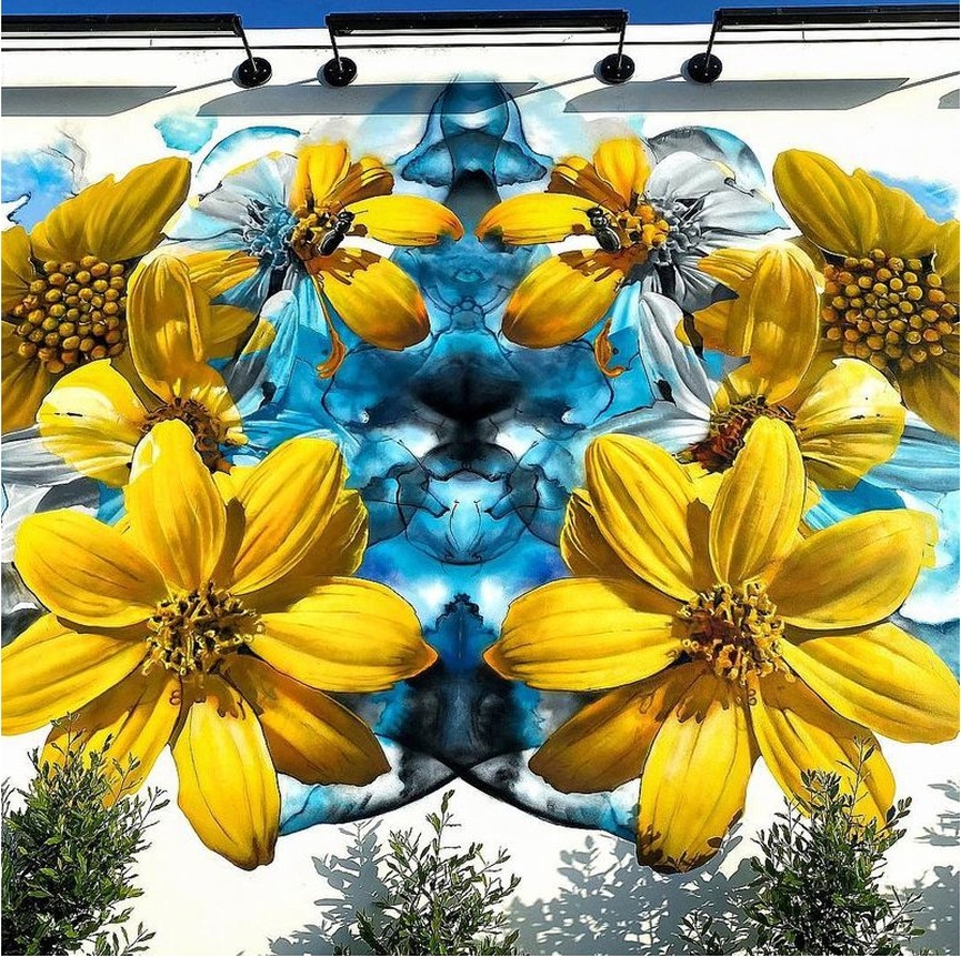 Nick Napoletano @ San Diego, USA