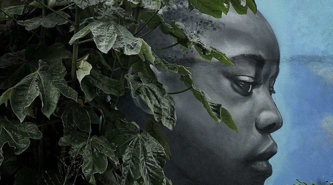 Nuxuno Xän @ France