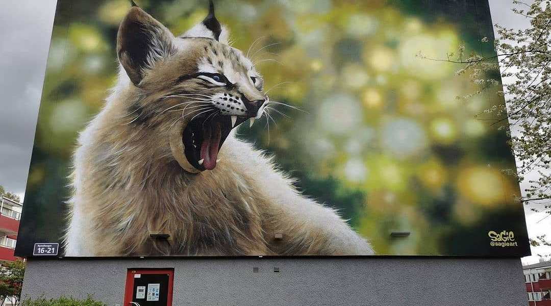 Sagie @ Gothenburg, Sweden