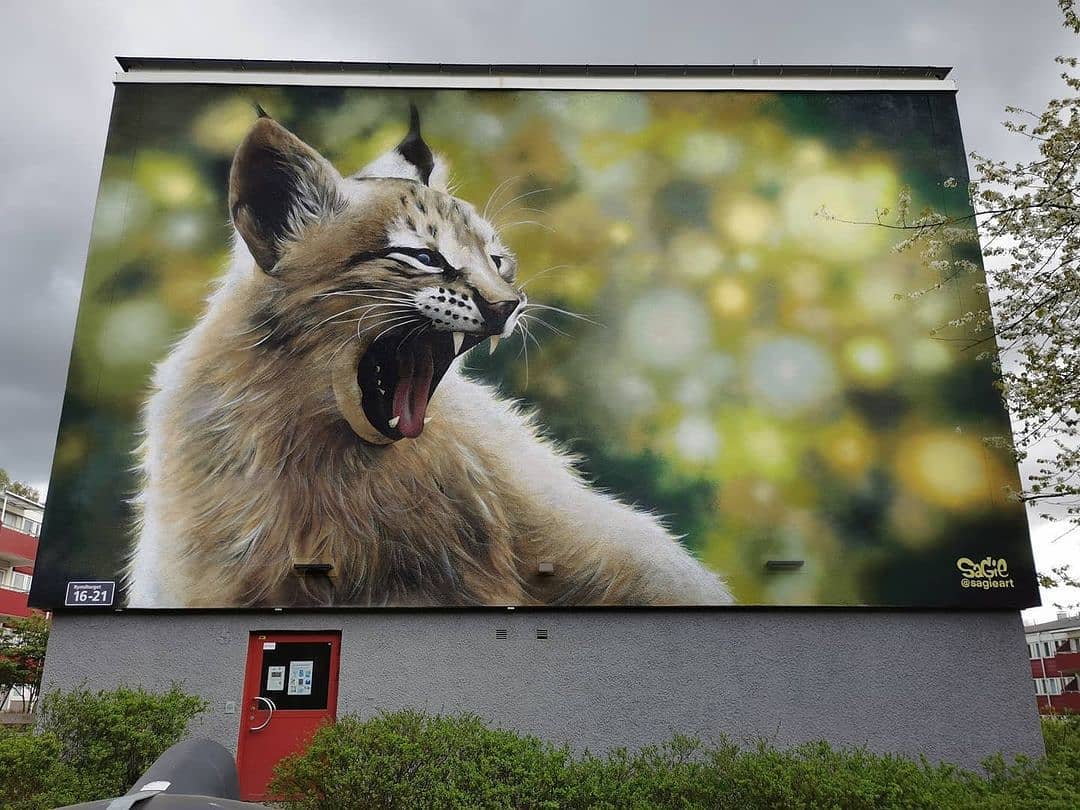 Sagie @ Gothenburg, Sweden