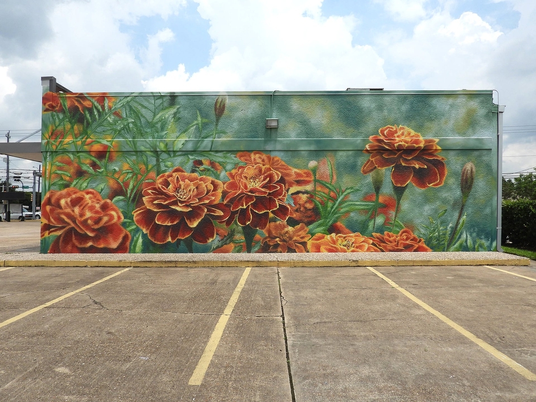 Anat Ronen @ Houston, USA