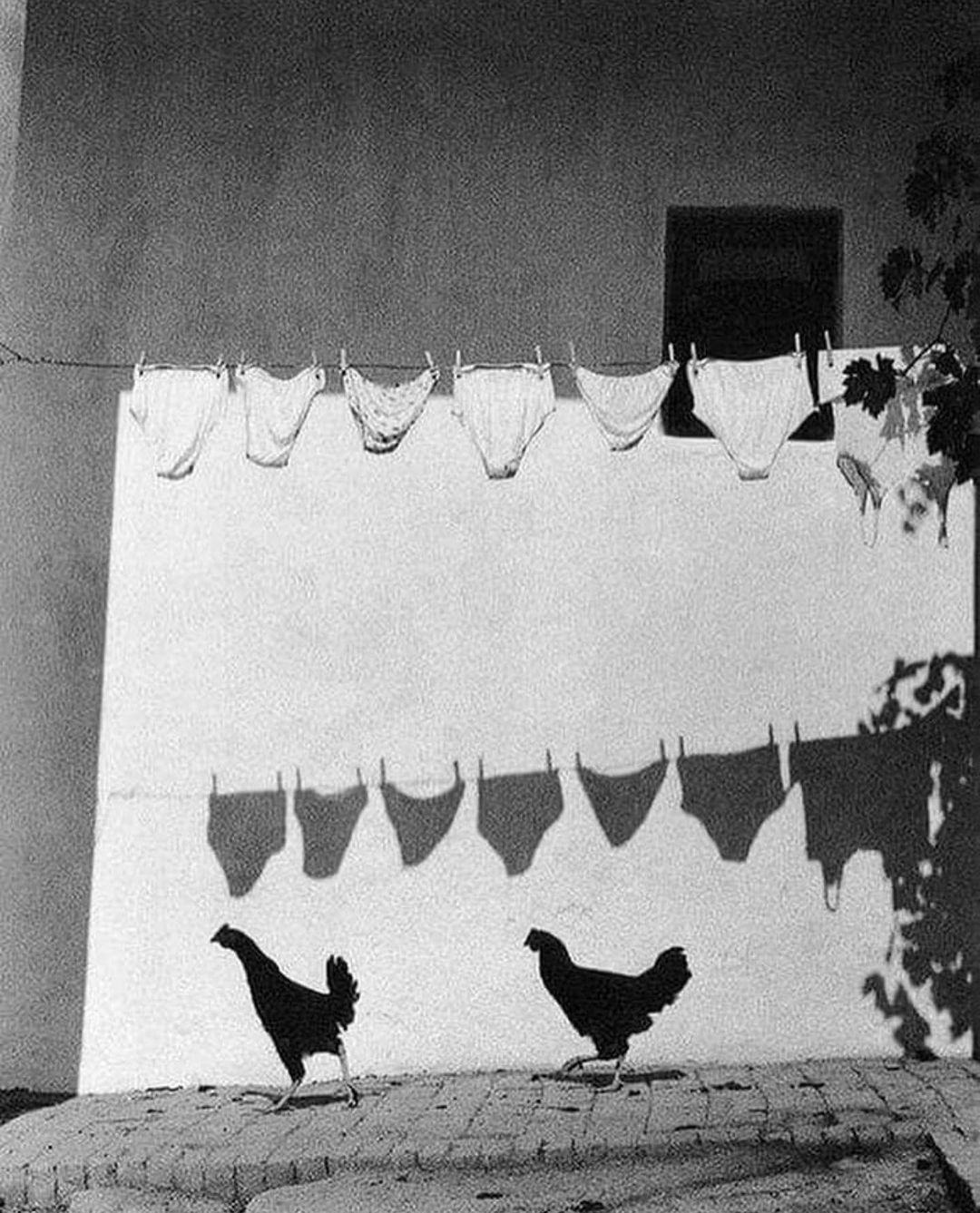 Photography by Bruno Bourel