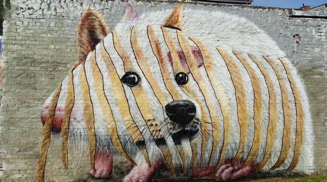 Cee Pil @ Ghent, Belgium