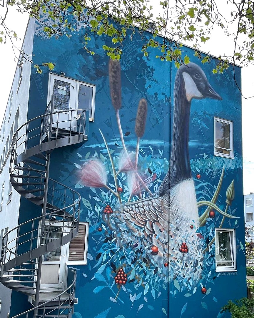 Collin van der Sluijs @ Hoorn, Netherlands