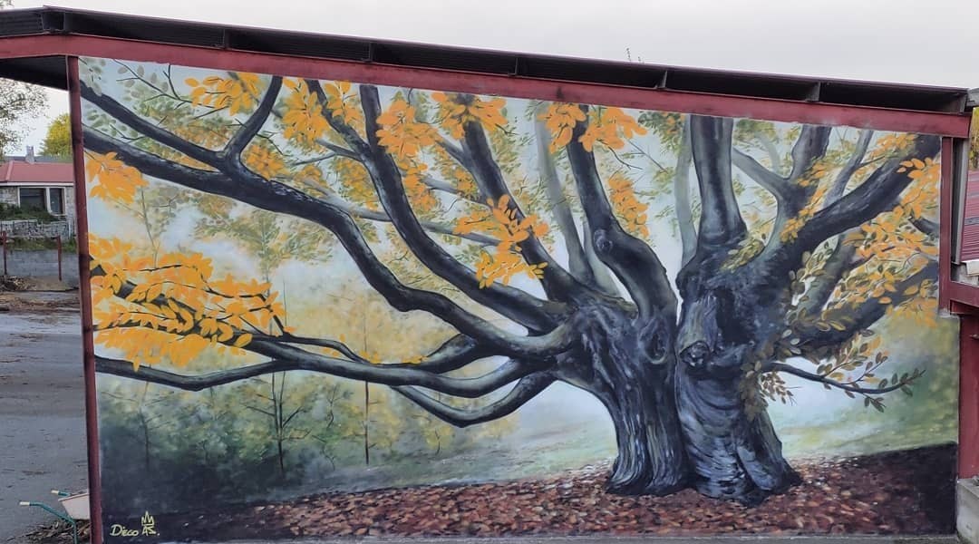 Diego AS @ Carballo, Spain