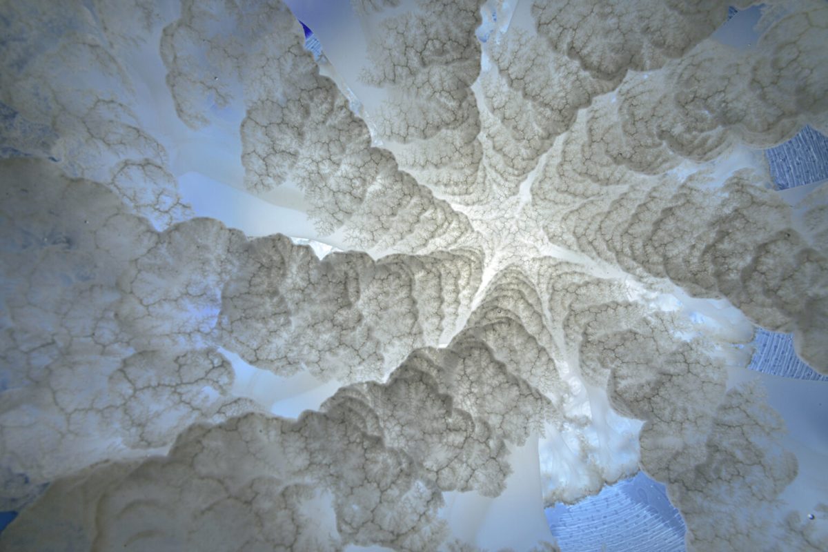 “Down the Hatch” by Angel Fitor