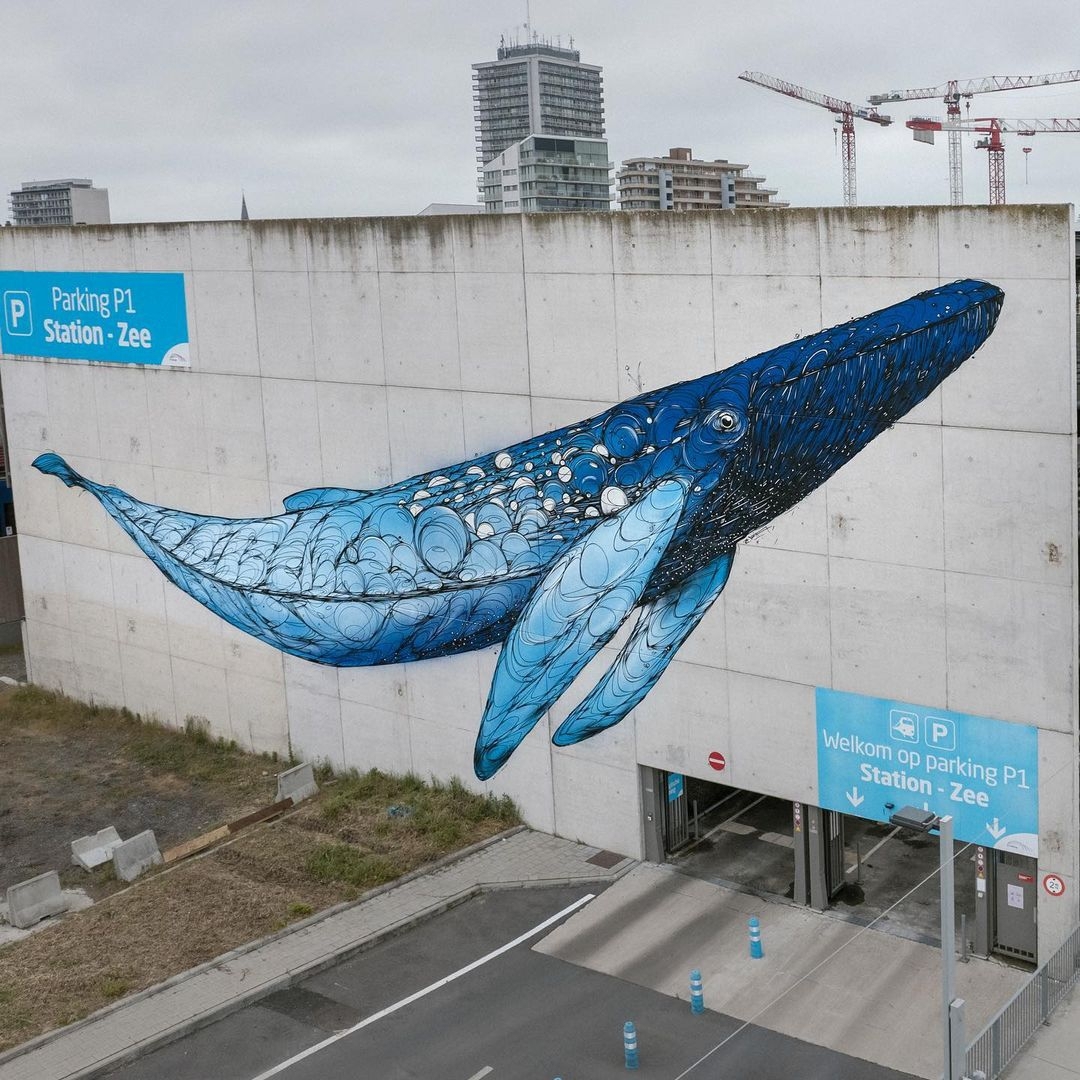 Dzia @ Ostend, Belgium