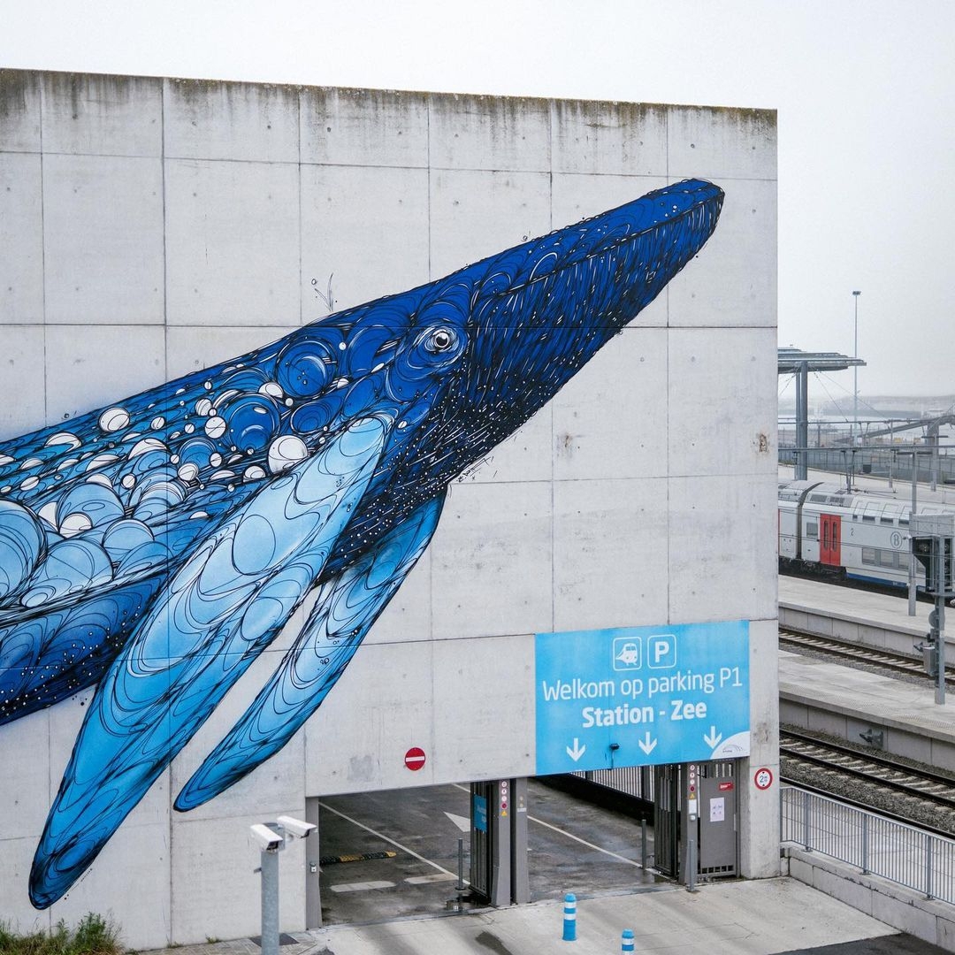 Dzia @ Ostend, Belgium